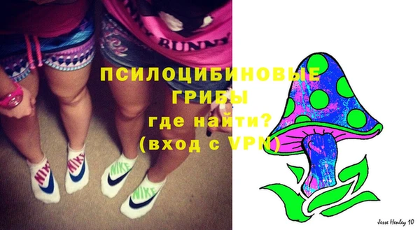 твердый Володарск