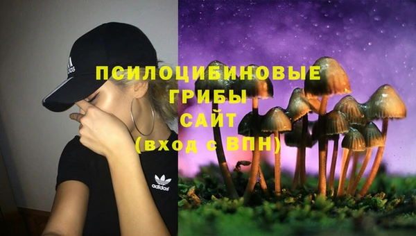 твердый Володарск