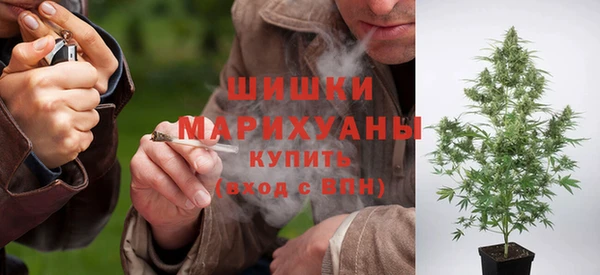 твердый Володарск
