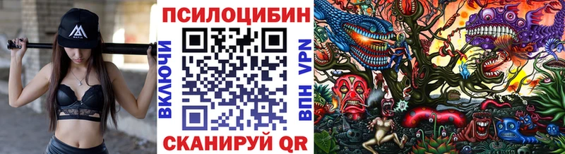Галлюциногенные грибы мицелий  ОМГ ОМГ онион  Карабулак 
